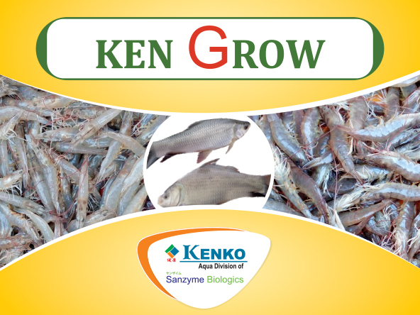 Ken Grow